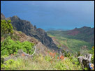 This is a color photograph taken in Hawaii, on the island of Kawaii overlooking the Napali Coast.