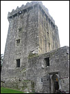 This is a color photograph closer to the Blarney Castle, in Cork Ireland.