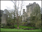 This is a color photograph of the Blarney Castle, in Cork Ireland.