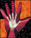 This is a digital photo of my hand scanned and replicated many times over a checkered background design.