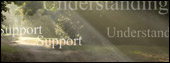 Flash Portfolio Banner - Combreeze
