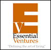 Flash Portfolio Intro - Essential Ventures