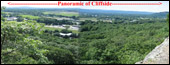 Panoramic View Scroll