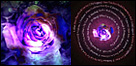 CD Cover Design - Rose Mix