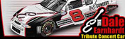 Goracing Banner - Dale Earnhardt Tribute
