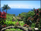 This is a color photograph taken in Hawaii, on the island of Kawaii.