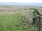 This is a color photo of a stone fense built down a green field in Ireland.